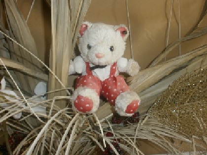 Teddy Jolu